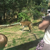 Photo taken at Sumatran Tiger Exhibit by Erin D. on 3/16/2018
