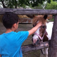 Photo taken at Jízdárna na Císařském ostrově by Kira A. on 5/21/2016