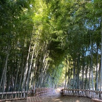 Photo taken at 竹林公園 by Akihide I. on 1/14/2021