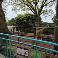 Photo taken at Nogeyama Zoo by りょーちん on 4/6/2024