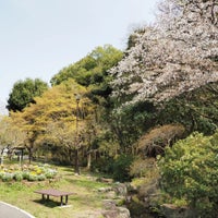 Photo taken at 富岡総合公園 by りょーちん on 4/2/2024