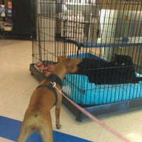 vca miller robertson