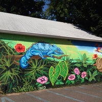 island exotic vet care