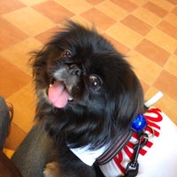 若山動物病院 佐倉市 佐倉市 千葉県