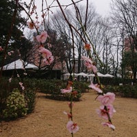 西洋庭園 白金台 東京 東京都