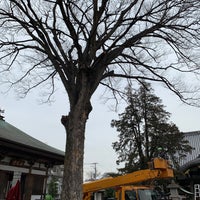 Photo taken at 総持寺のケヤキ by 🐑 on 2/20/2020