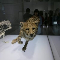 Photo taken at Naturkundemuseum by Alexander S. on 3/16/2013
