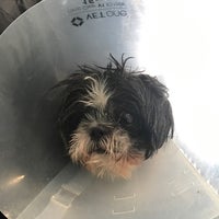 Photo taken at Animal Kind Veterinary Hospital by Regan D. on 2/28/2018