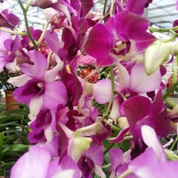 Photo taken at Thomson Road | Singapore&amp;#39;s Flower Market by RN on 2/12/2013