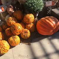 Photo taken at Armstrong Garden Centers by Liz S. on 10/22/2017