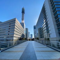 すずかけ通り歩道橋 みなとみらい21の橋