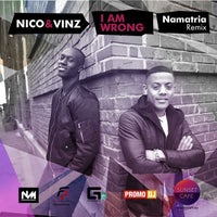 Am i wrong перевод на русский. Am i wrong Nico Vinz. Nico & Winz - am i wrong. Песня am i wrong. Nico & Vinz am i wrong Bridge TV.