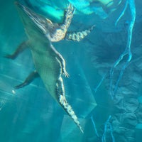 Das Foto wurde bei Crocosaurus Cove von Vince ©. am 5/11/2022 aufgenommen