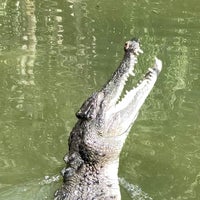 Photo taken at Hartley&amp;#39;s Crocodile Adventures by Vince ©. on 4/15/2021