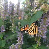 Photo taken at Battery Park Gardens by Andrey K. on 10/7/2017