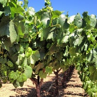 Photo taken at Thomas Kruse Winery by Russ B. on 6/22/2013
