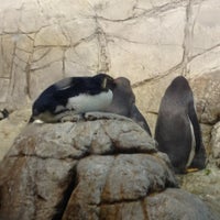 Photo taken at Penguins by Vic R. on 12/24/2012