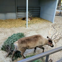 Photo taken at Reindeer by Mel L. on 12/29/2016