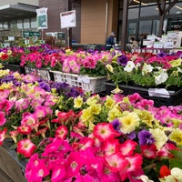 カインズホーム 佐倉店 Servizio Domestico In 佐倉市 カインズホーム 佐倉店 Servizio Domestico In 佐倉市