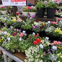 カインズホーム 佐倉店 Servizio Domestico In 佐倉市 カインズホーム 佐倉店 Servizio Domestico In 佐倉市