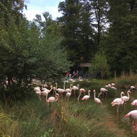 Photo taken at Tierpark Dählhölzli by Martin W. on 9/22/2019