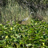 Foto diambil di Everglades Holiday Park oleh samansarısı pada 2/12/2024