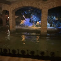 Photo taken at Pirates of the Caribbean by Ajana O. on 12/20/2023