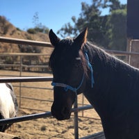 Photo taken at Sunset Ranch by Khalid on 10/31/2019