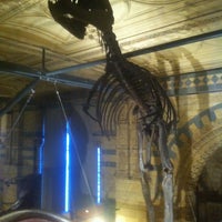 Photo taken at Natural History Museum by OSKAR S. on 5/2/2013