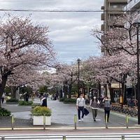 Photo taken at 足立東綾瀬公園 お祭り広場 by Toyoki T. on 3/27/2022