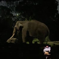 Photo taken at Night Safari by Crocell on 9/29/2023