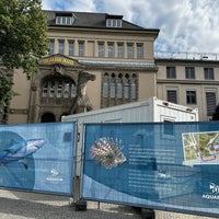 Photo taken at Aquarium Berlin by Anne on 7/21/2023