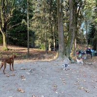 Photo taken at Woodland Park Off-Leash Area by S on 11/3/2019