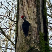 Photo taken at Carkeek Park by S on 12/31/2023