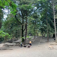 Photo taken at Woodland Park Off-Leash Area by S on 8/25/2019