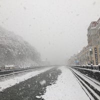 Мишкин мост роза Хутор