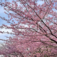 Photo taken at 北総花の丘公園 by Kazu S. on 3/5/2023