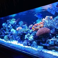 12/7/2012 tarihinde Viral P.ziyaretçi tarafından Old Town Aquarium'de çekilen fotoğraf