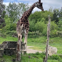 Photo taken at Chessington World of Adventures Resort by Viral N. on 5/10/2023