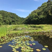トンボ自然公園 Park トンボ自然公園 Park