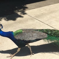 Photo taken at Folsom City Park by Aditi G. on 5/26/2016