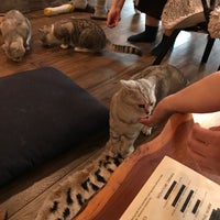 Photo taken at London Cat Village by softtempo on 7/14/2018