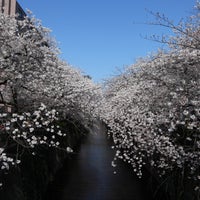 Photo taken at 中目黒の桜 by Yoshino on 3/27/2021