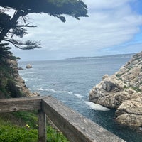 Photo taken at Point Lobos State Reserve by Michael N. on 4/23/2024