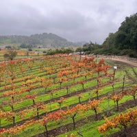 11/19/2021 tarihinde Michael N.ziyaretçi tarafından Arrowood Vineyards &amp;amp; Winery'de çekilen fotoğraf