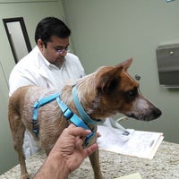 TriCity Veterinary Hospital Veterinarian in Fremont