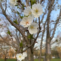Photo taken at Jackson Park by Jonathan F. on 4/15/2023