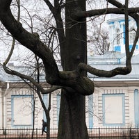 Photo taken at Parterre Garden of Smolny Institute by Bogolubov A. on 4/5/2021