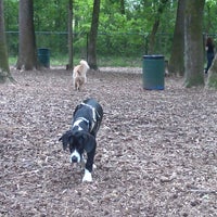 sweat mountain dog park