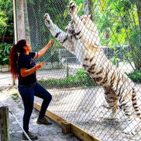 3/13/2016 tarihinde Miguel G.ziyaretçi tarafından McCarthy&amp;#39;s Wildlife Sanctuary'de çekilen fotoğraf